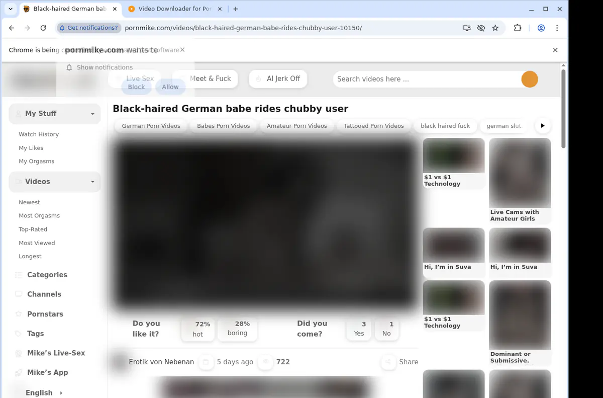 Pornmike Video Downloader screenshot 2