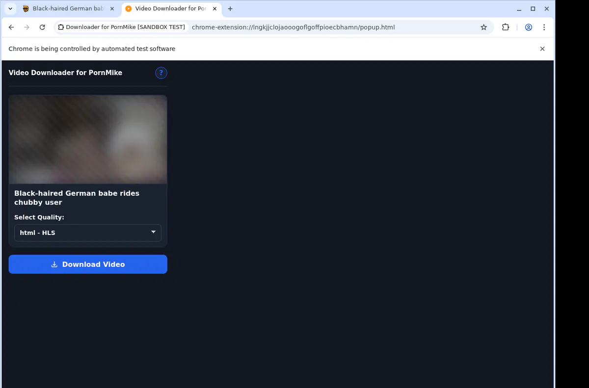 Pornmike Video Downloader screenshot 4